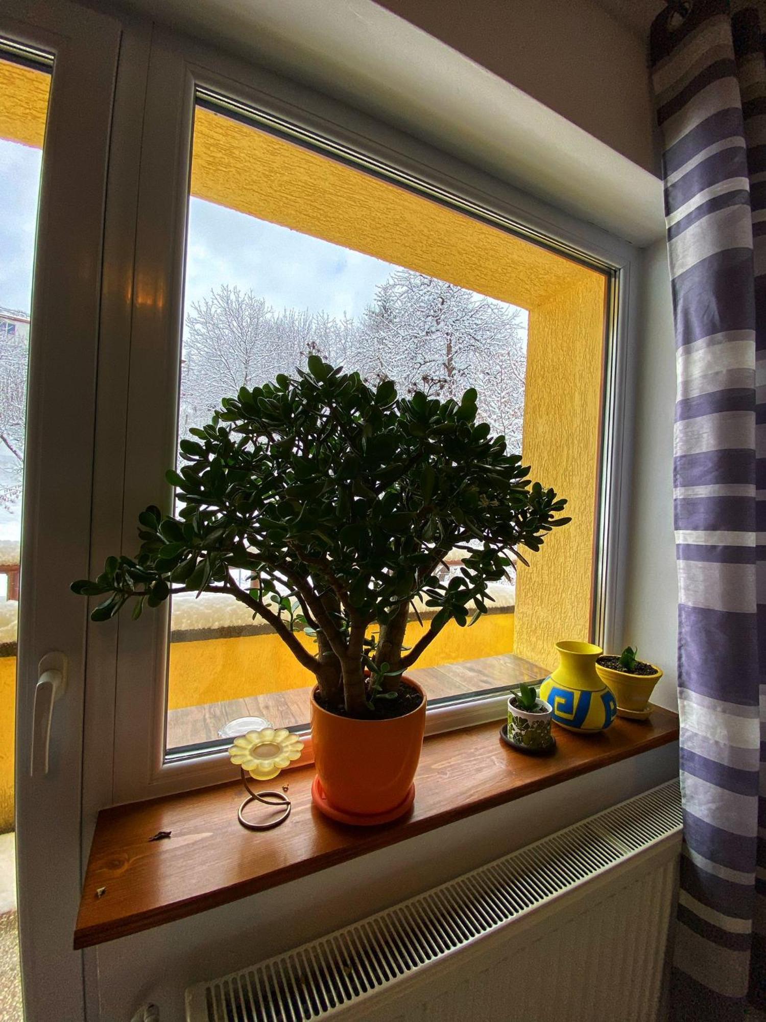 Vila Liana Braşov Buitenkant foto