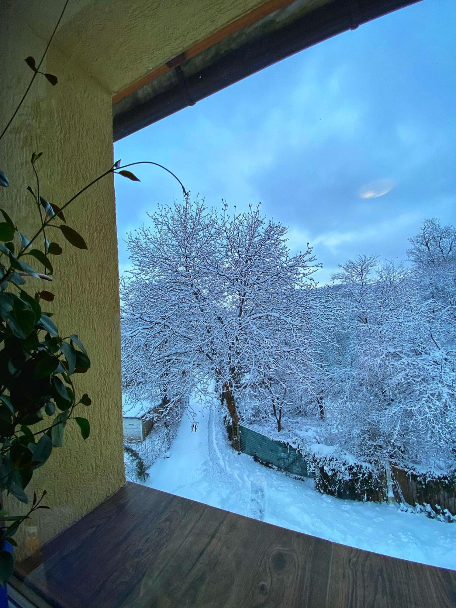 Vila Liana Braşov Buitenkant foto